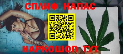 СК Абинск