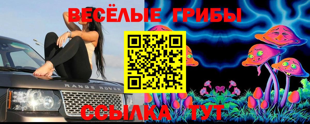 Галлюциногенные грибы Psilocybine cubensis  Вход с VPN  Алушта 